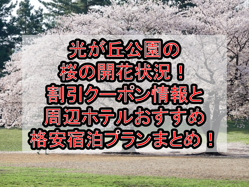 光が丘公園の桜の開花状況2024!割引クーポン情報と周辺ホテルおすすめ格安宿泊プランまとめ!