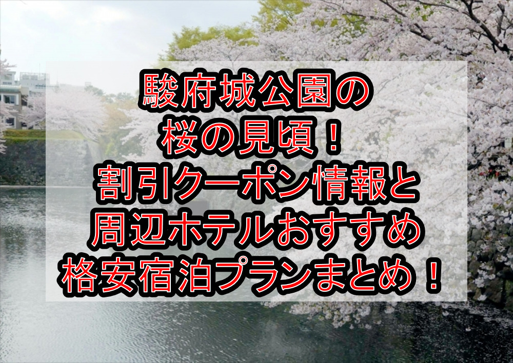 熱海城の桜の見頃2024!割引クーポン情報と周辺ホテルおすすめ格安宿泊プランまとめ!