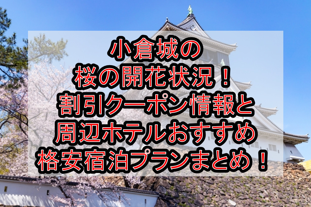 小倉城の桜の開花状況2023！割引クーポン情報と周辺ホテルおすすめ格安宿泊プランまとめ！