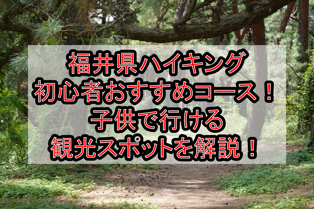 福井県ハイキング初心者おすすめコースまとめ!子供で行ける観光スポットを解説!