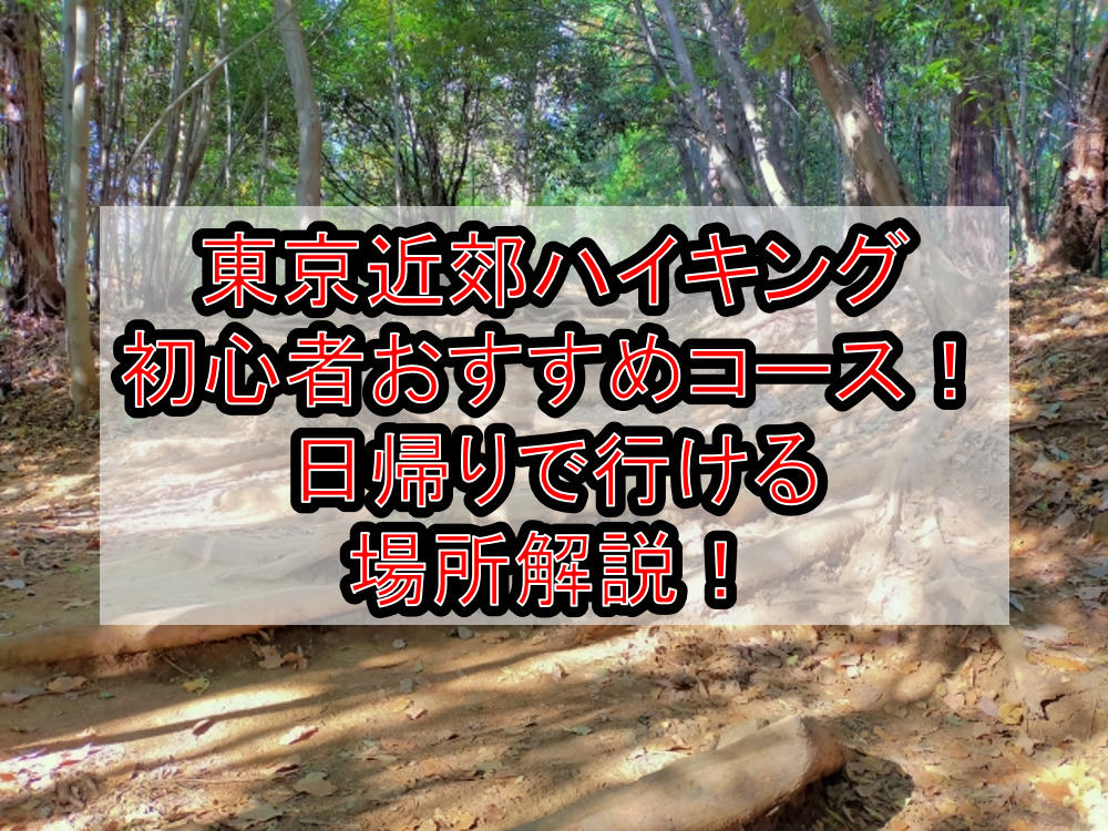 東京近郊ハイキング初心者おすすめコースまとめ!日帰りで行ける場所も解説!