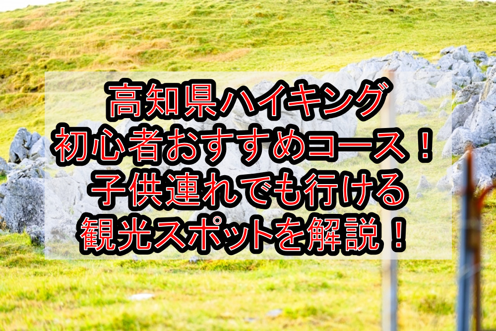 高知県ハイキング初心者おすすめコースまとめ!子供連れでも行ける観光スポットを解説!
