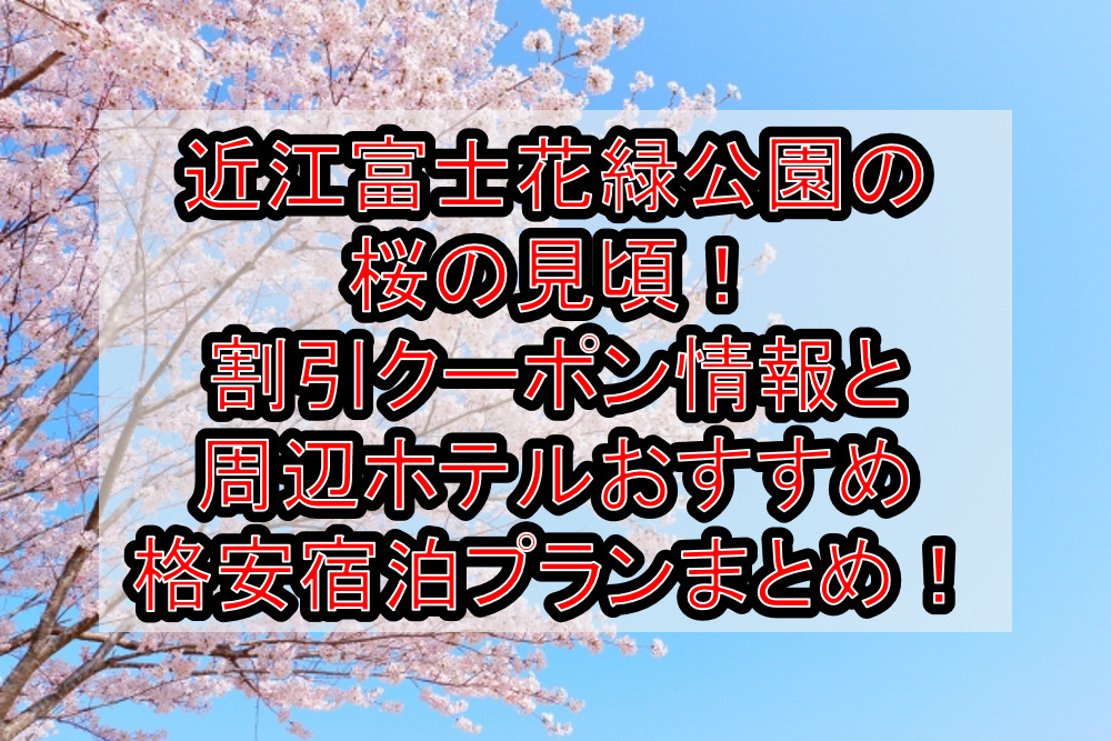 近江富士花緑公園の桜の見頃2023！割引クーポン情報と周辺ホテルおすすめ格安宿泊プランまとめ！