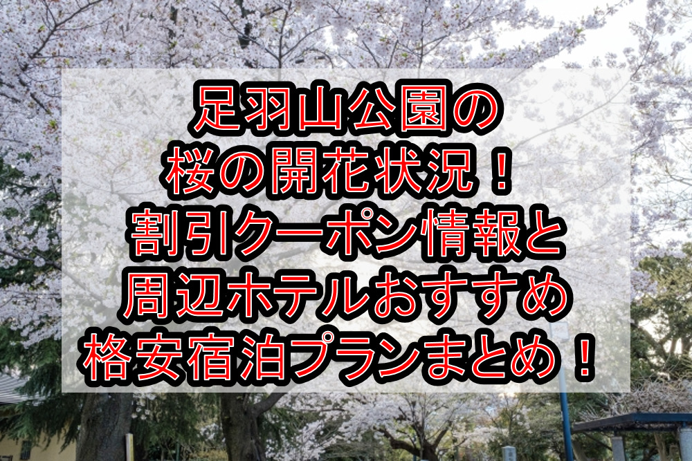足羽山公園の桜の開花状況2024!割引クーポン情報と周辺ホテルおすすめ格安宿泊プランまとめ!