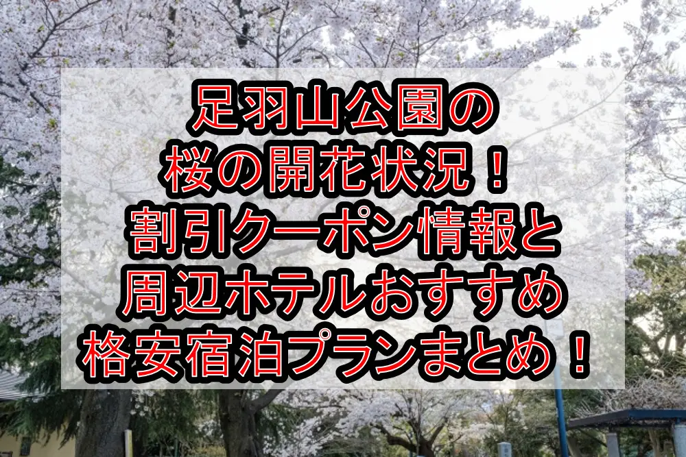 足羽山公園の桜の開花状況2023！割引クーポン情報と周辺ホテルおすすめ格安宿泊プランまとめ！