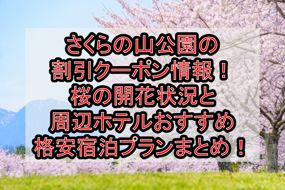 さくらの山公園の割引クーポン情報2024!桜の開花状況と周辺ホテルおすすめ格安宿泊プランまとめ!