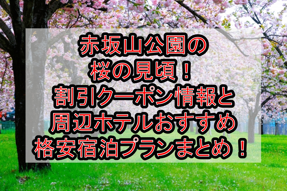赤坂山公園の桜の見頃2024!割引クーポン情報と周辺ホテルおすすめ格安宿泊プランまとめ!