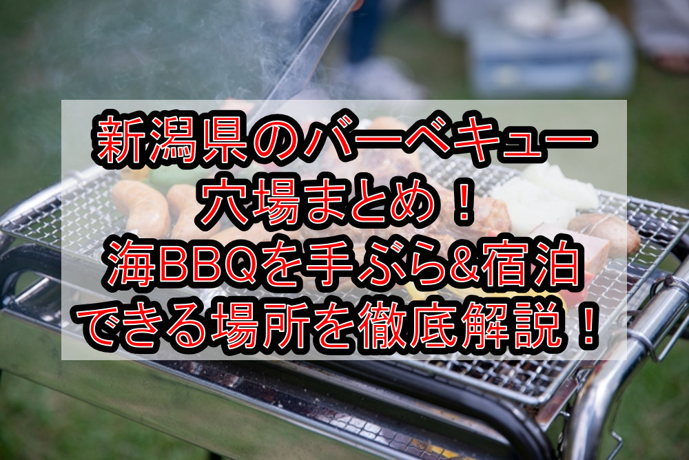新潟県のバーベキュー穴場まとめ！海BBQを手ぶら&宿泊できる場所を徹底解説！