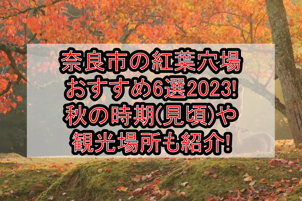 奈良市の紅葉穴場おすすめ6選2023!秋の時期(見頃)や観光場所も紹介!