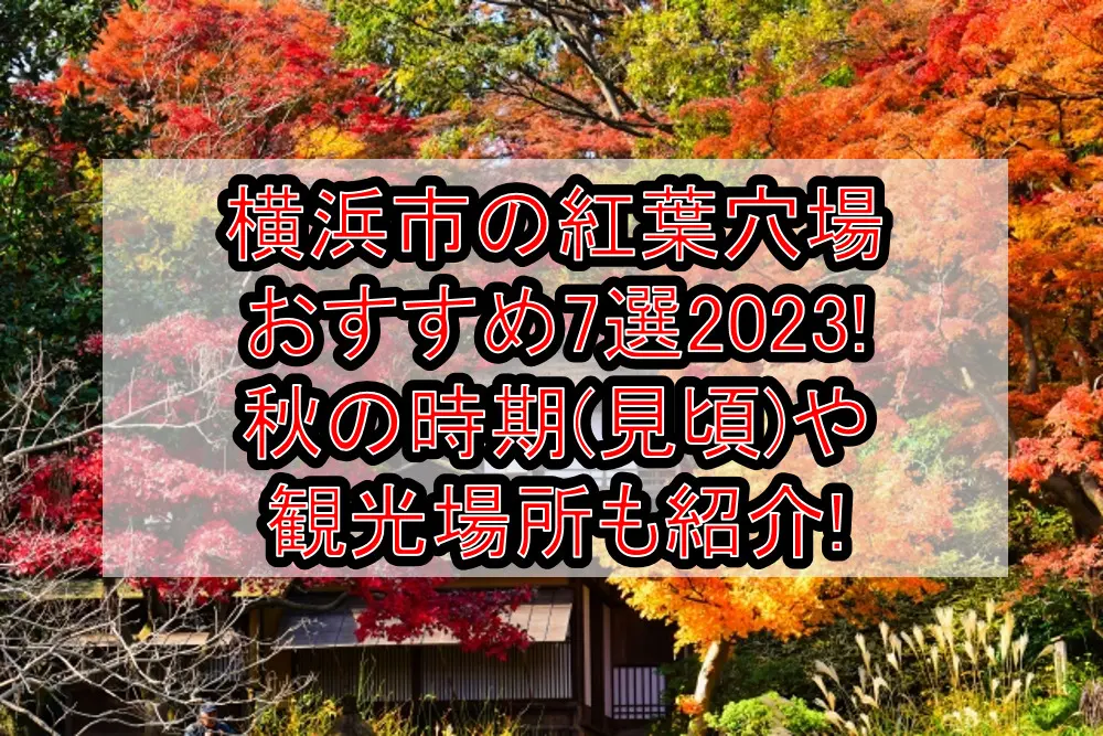 横浜市の紅葉穴場おすすめ7選2023!秋の時期(見頃)や観光場所も紹介!