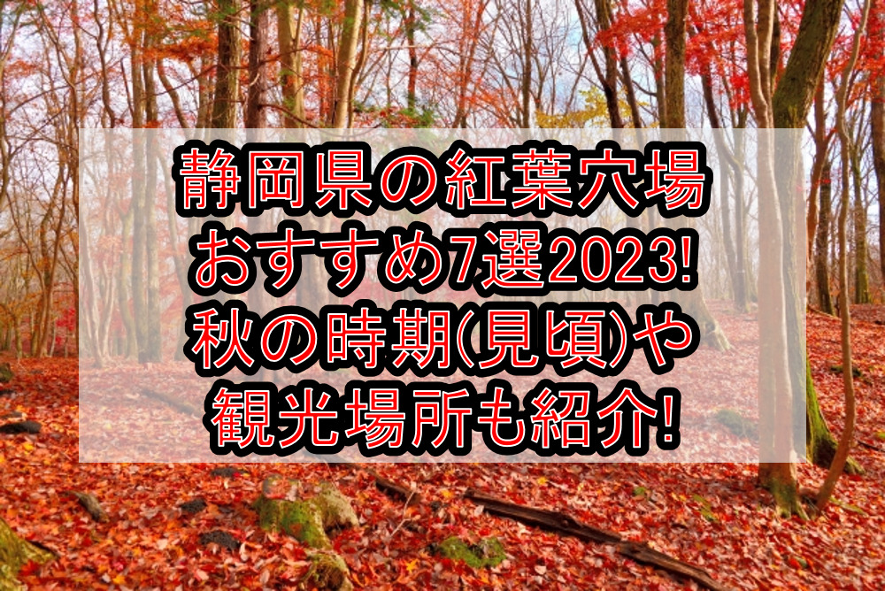 静岡県の紅葉穴場おすすめ7選2023!秋の時期(見頃)や観光場所も紹介!
