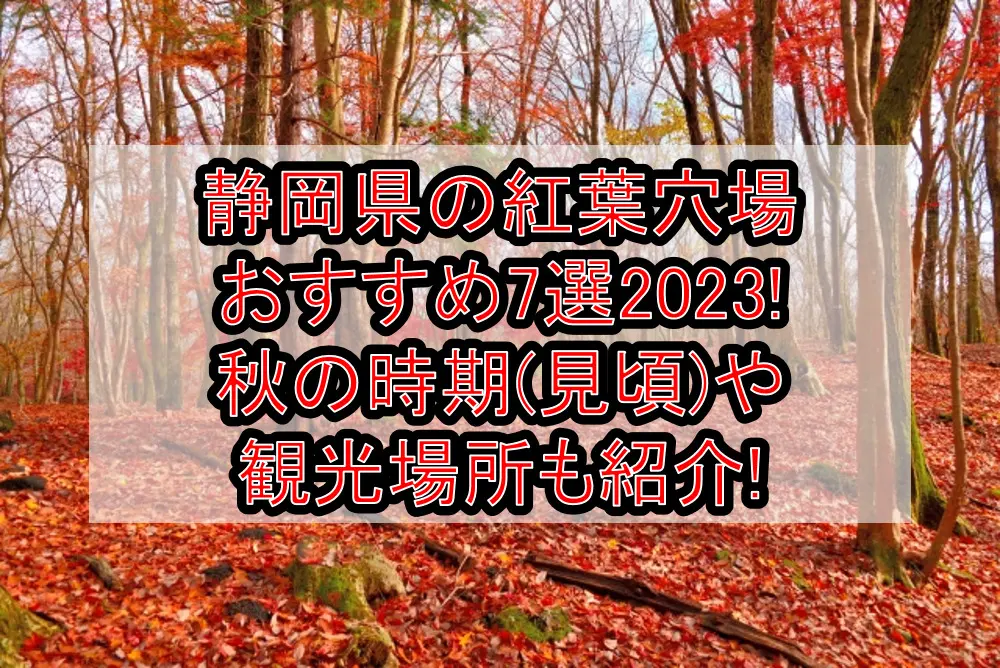 静岡県の紅葉穴場おすすめ7選2023!秋の時期(見頃)や観光場所も紹介!