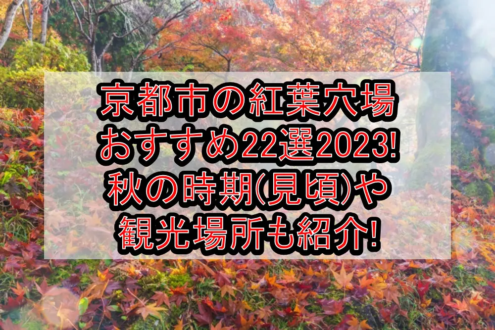 京都市の紅葉穴場おすすめ22選2023!秋の時期(見頃)や観光場所も紹介!