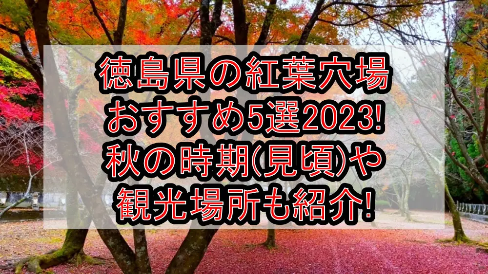 徳島県の紅葉穴場おすすめ5選2023!秋の時期(見頃)や観光場所も紹介!