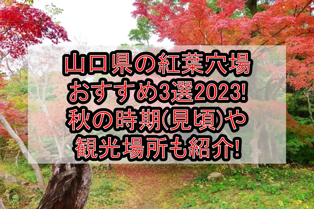山口県の紅葉穴場おすすめ3選2023!秋の時期(見頃)や観光場所も紹介!