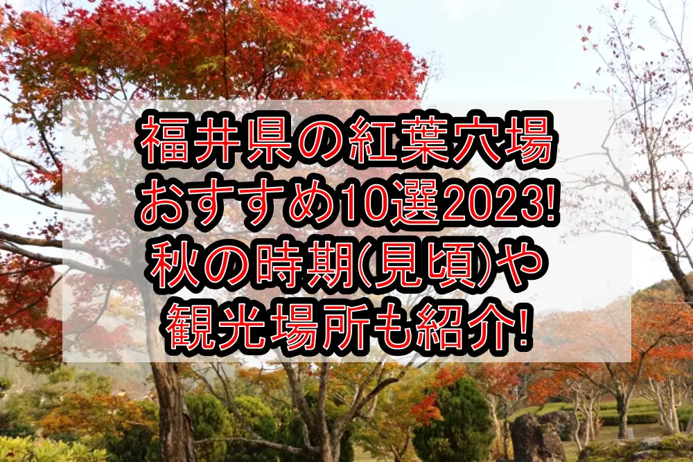福井県の紅葉穴場おすすめ10選2023!秋の時期(見頃)や観光場所も紹介!