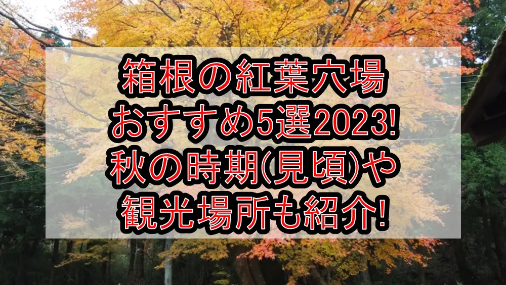 箱根の紅葉穴場おすすめ5選2023!秋の時期(見頃)や観光場所も紹介!