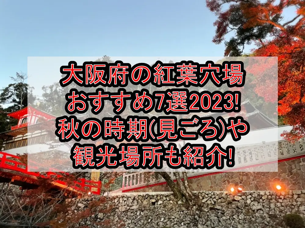 大阪府の紅葉穴場おすすめ7選2023!秋の時期(見ごろ)や観光場所も紹介!