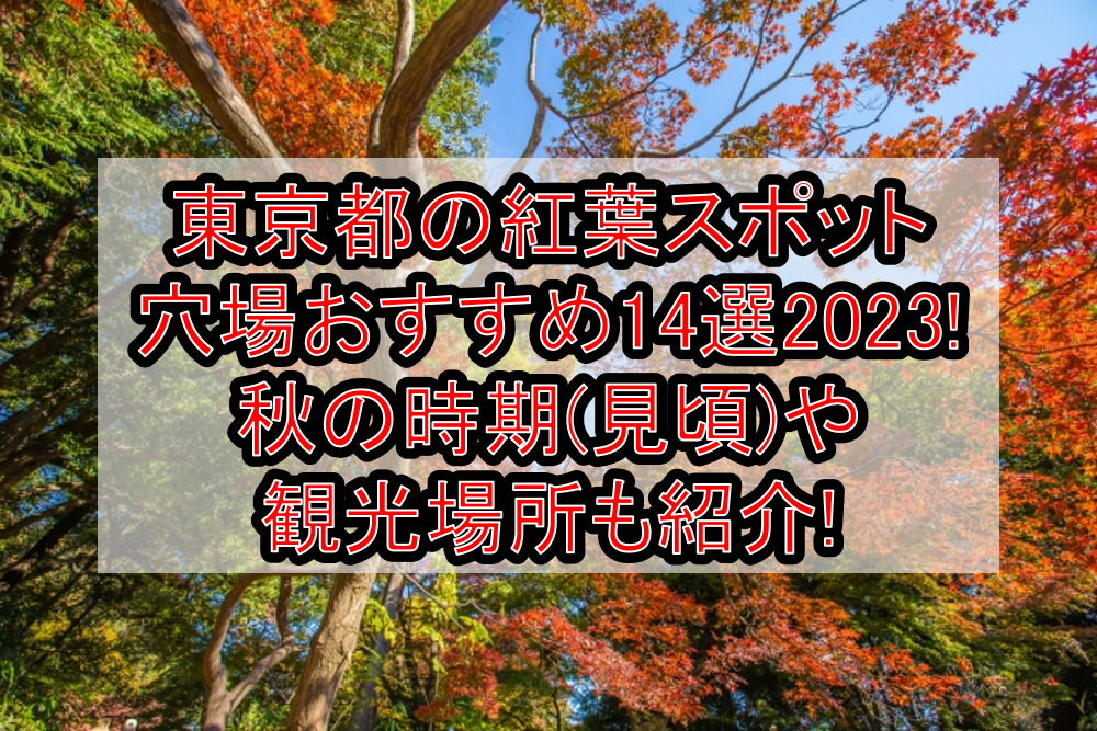 東京都の紅葉スポット穴場おすすめ14選2023!秋の時期(見頃)や観光場所も紹介!