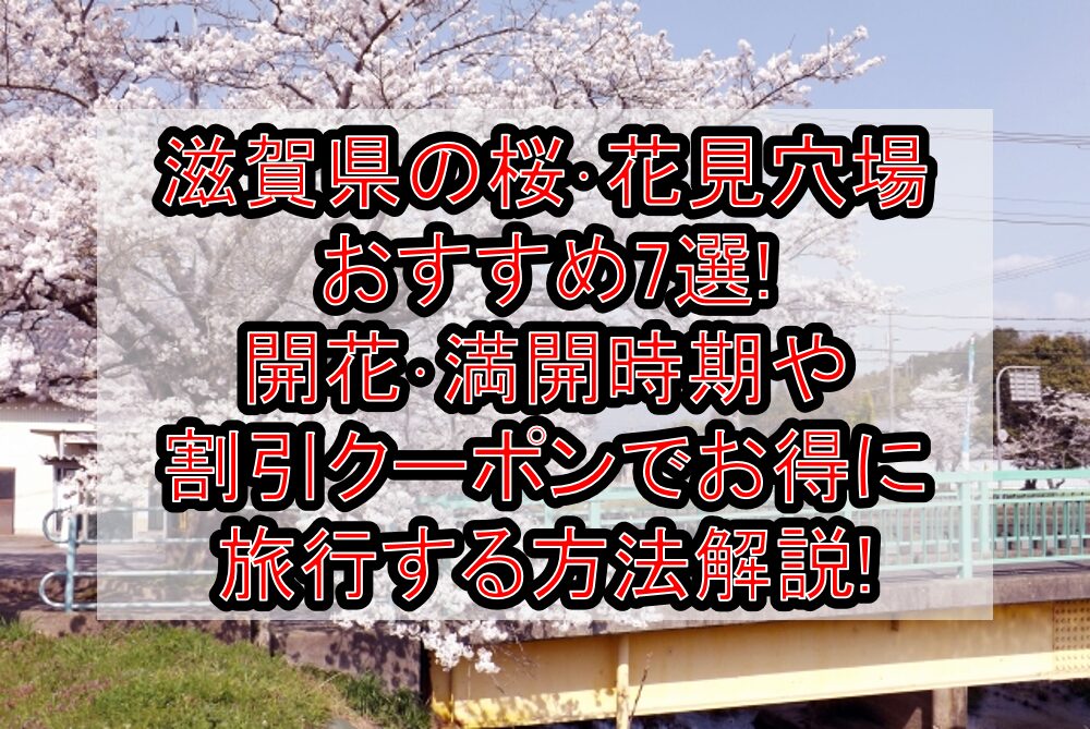 滋賀県の桜･花見穴場おすすめ7選!2025開花･満開時期や割引クーポンでお得に旅行する方法解説!
