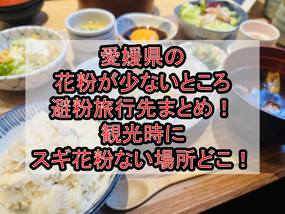 愛媛県の花粉が少ないところ･避粉旅行先まとめ!観光時にスギ花粉ない場所どこ!