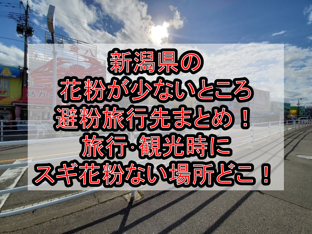 新潟県の花粉が少ないところ･避粉旅行先まとめ!観光時にスギ花粉ない場所どこ!
