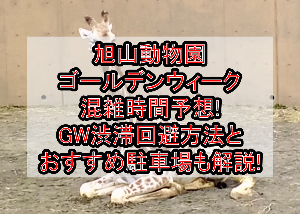 旭山動物園ゴールデンウィーク混雑時間予想!GW渋滞回避方法とおすすめ駐車場も解説!