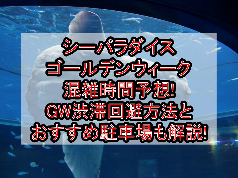 八景島シーパラダイスゴールデンウィーク混雑時間予想!GW渋滞回避方法とおすすめ駐車場も解説!