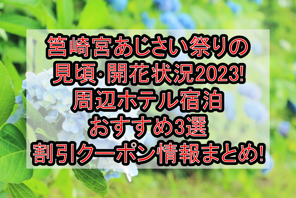 筥崎宮あじさい祭りの見頃･開花状況2023!周辺ホテル宿泊おすすめ3選&割引クーポン情報まとめ!