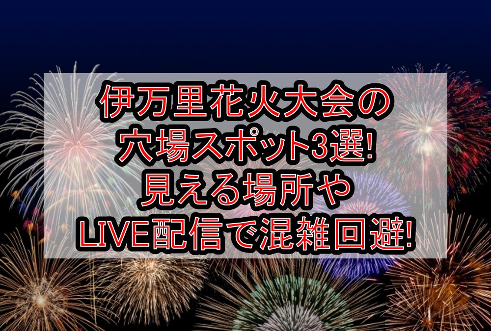 伊万里花火大会2025の穴場スポット3選!見える場所やLIVE配信で混雑回避!