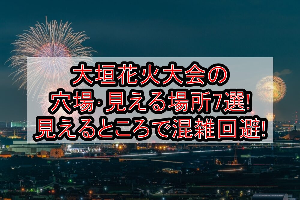 大垣花火大会2025の穴場･見える場所7選!見えるところで混雑回避!