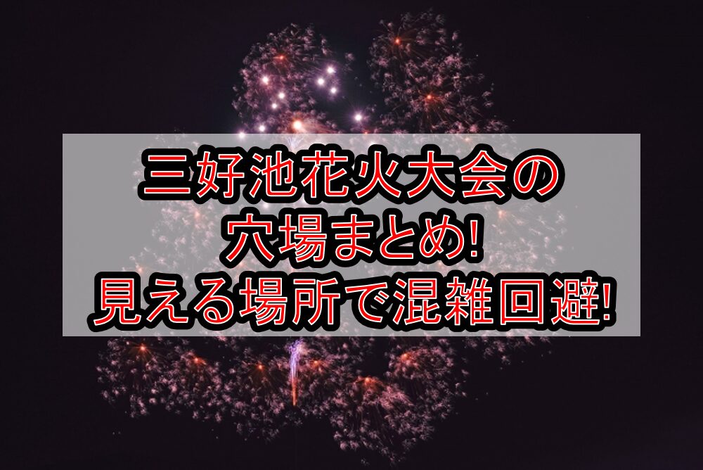 三好池花火大会2025の穴場まとめ!見える場所で混雑回避!