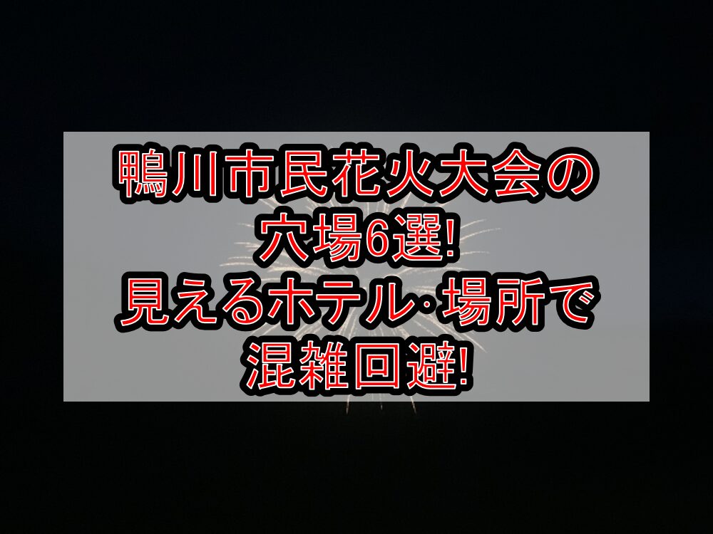 鴨川市民花火大会2025の穴場6選!見えるホテル･場所で混雑回避!