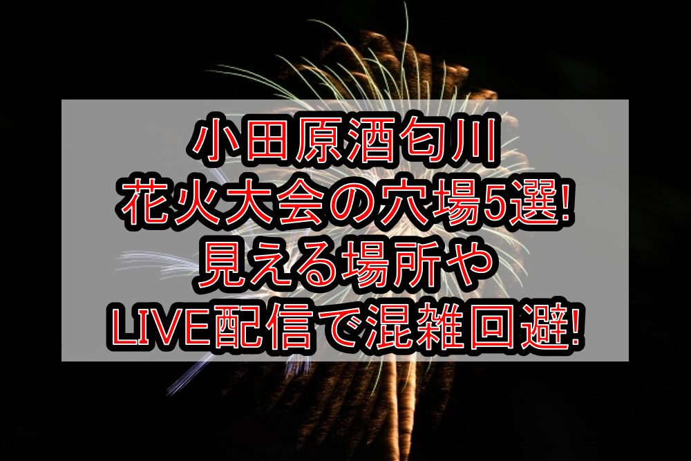 小田原酒匂川花火大会2025の穴場5選!見える場所やLIVE配信で混雑回避!