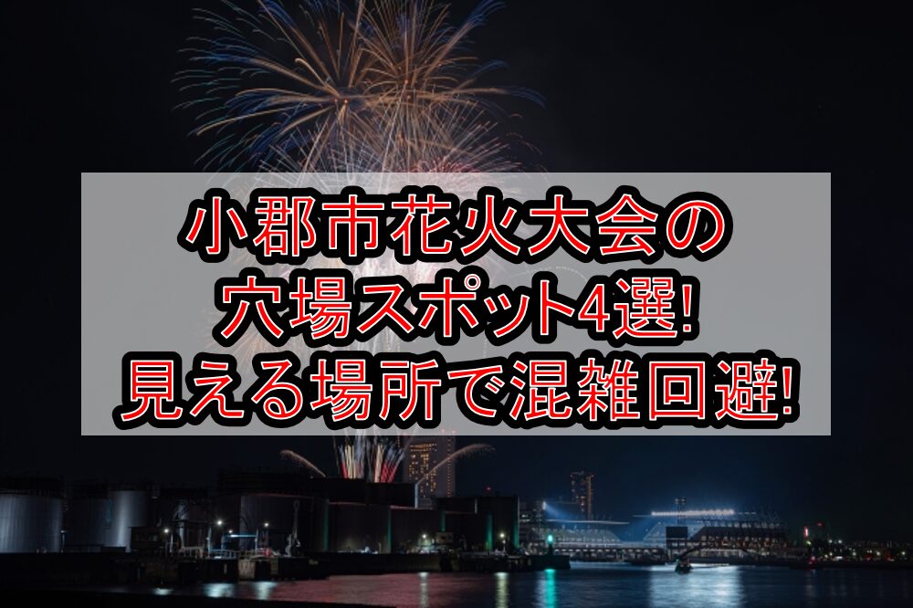 小郡市花火大会2024の穴場スポット4選!見える場所で混雑回避!