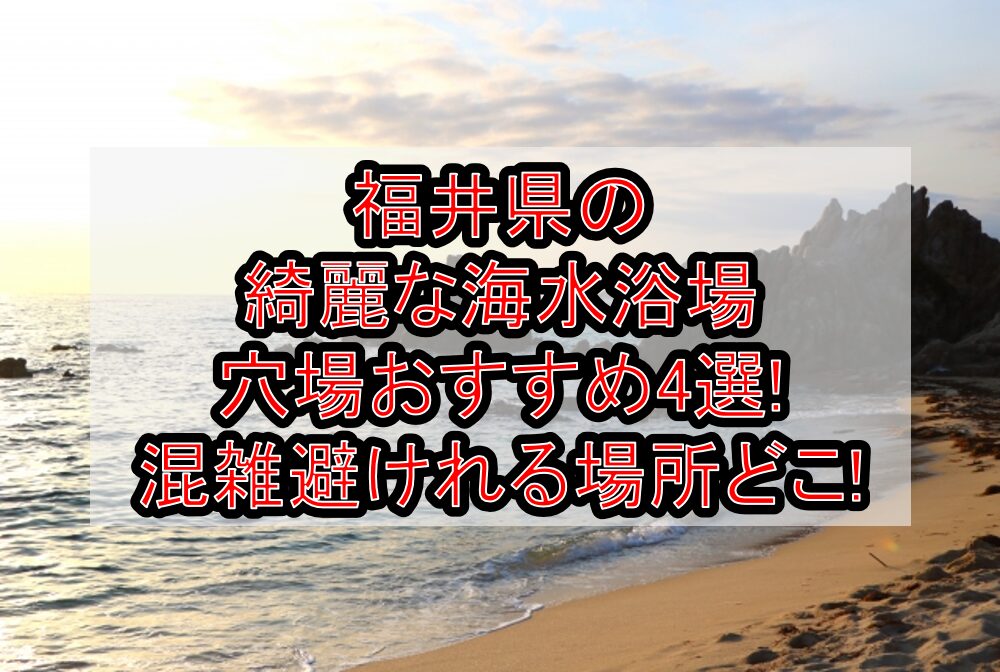 福井県の綺麗な海水浴場穴場おすすめ4選2024 混雑避けれる場所どこ 旅する亜人ちゃん