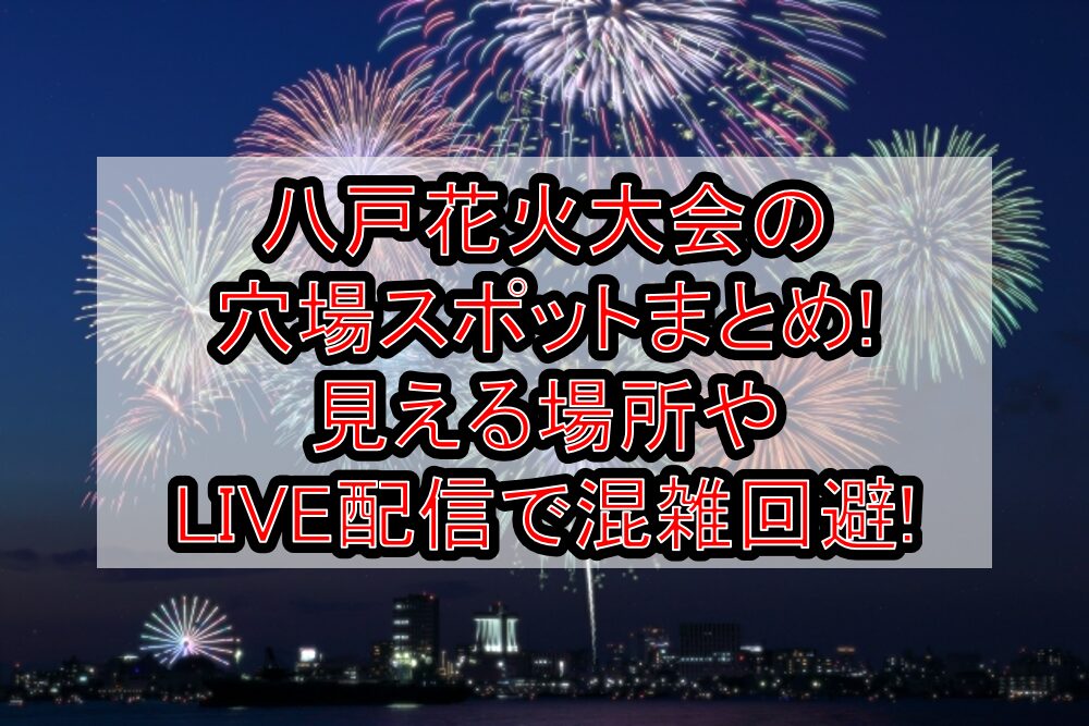 八戸花火大会2025の穴場スポットまとめ!見える場所やLIVE配信で混雑回避!