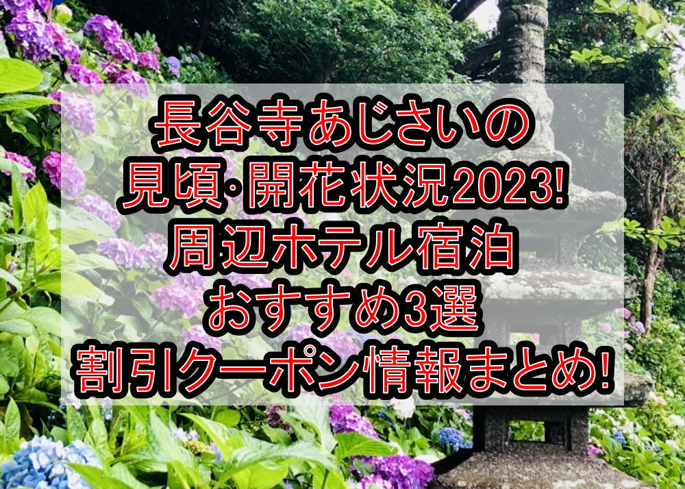 長谷寺あじさいの見頃･開花状況2023!周辺ホテル宿泊おすすめ3選&割引クーポン情報まとめ!