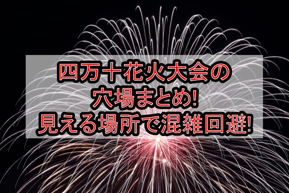 四万十花火大会2025の穴場まとめ!見える場所で混雑回避!