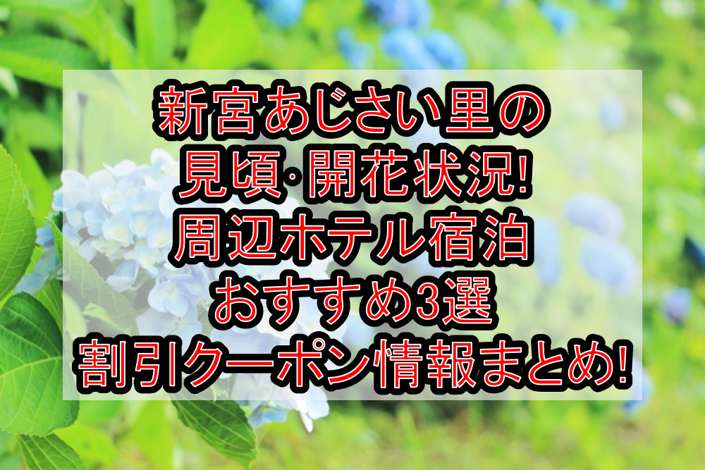 新宮あじさいの里の見頃・開花状況!周辺ホテル宿泊おすすめ3選&割引クーポン情報まとめ!