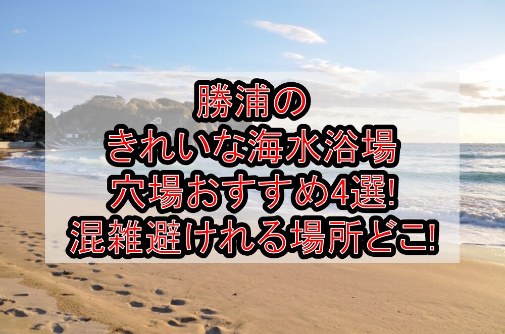 勝浦のきれいな海水浴場穴場おすすめ4選2025!混雑避けれる場所どこ!