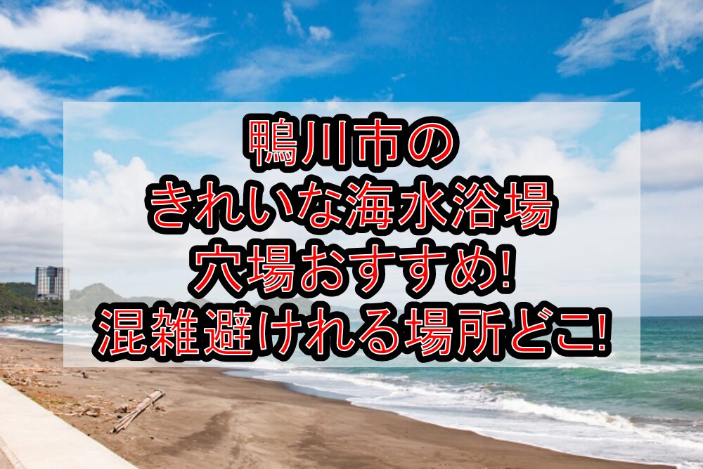 鴨川市のきれいな海水浴場穴場おすすめ2025!混雑避けれる場所どこ!