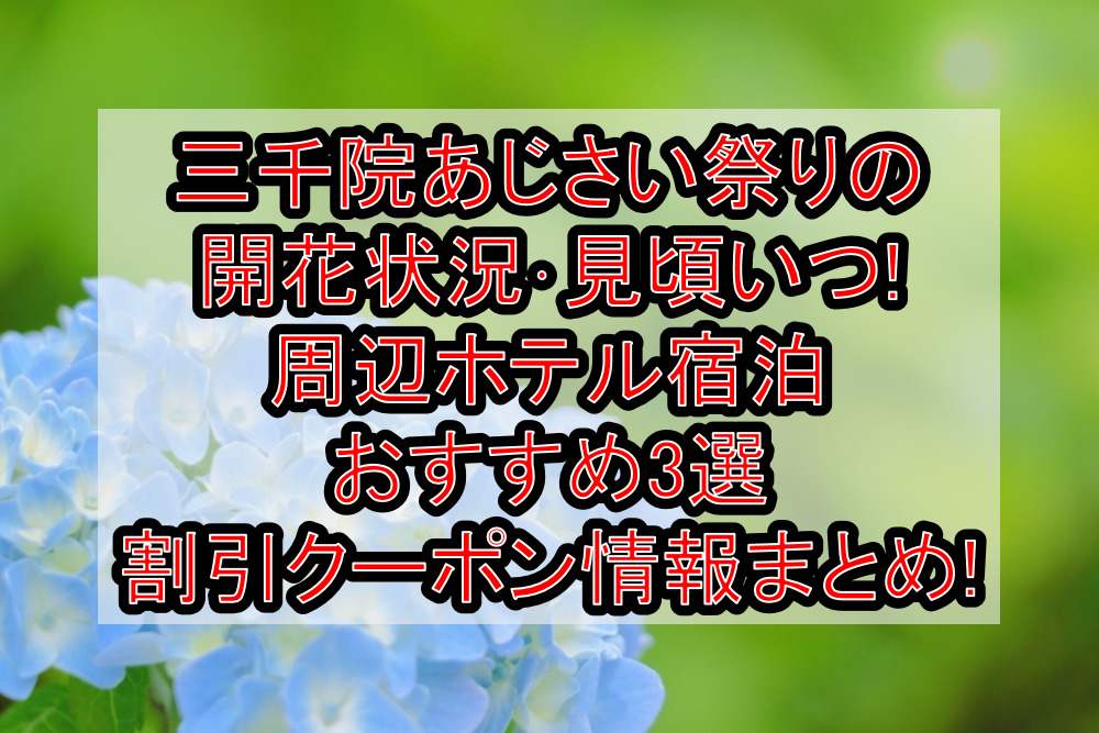 三千院あじさい祭りの開花状況･見頃いつ!周辺ホテル宿泊おすすめ3選&割引クーポン情報まとめ!