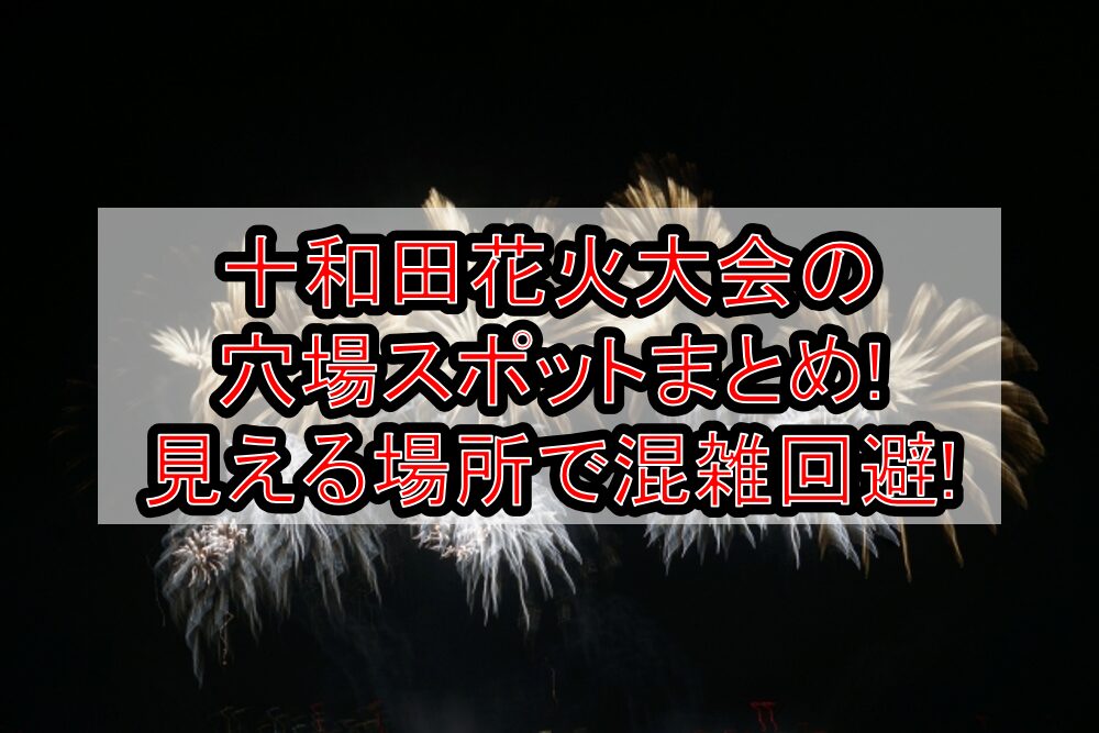 十和田花火大会2025の穴場スポットまとめ!見える場所で混雑回避!