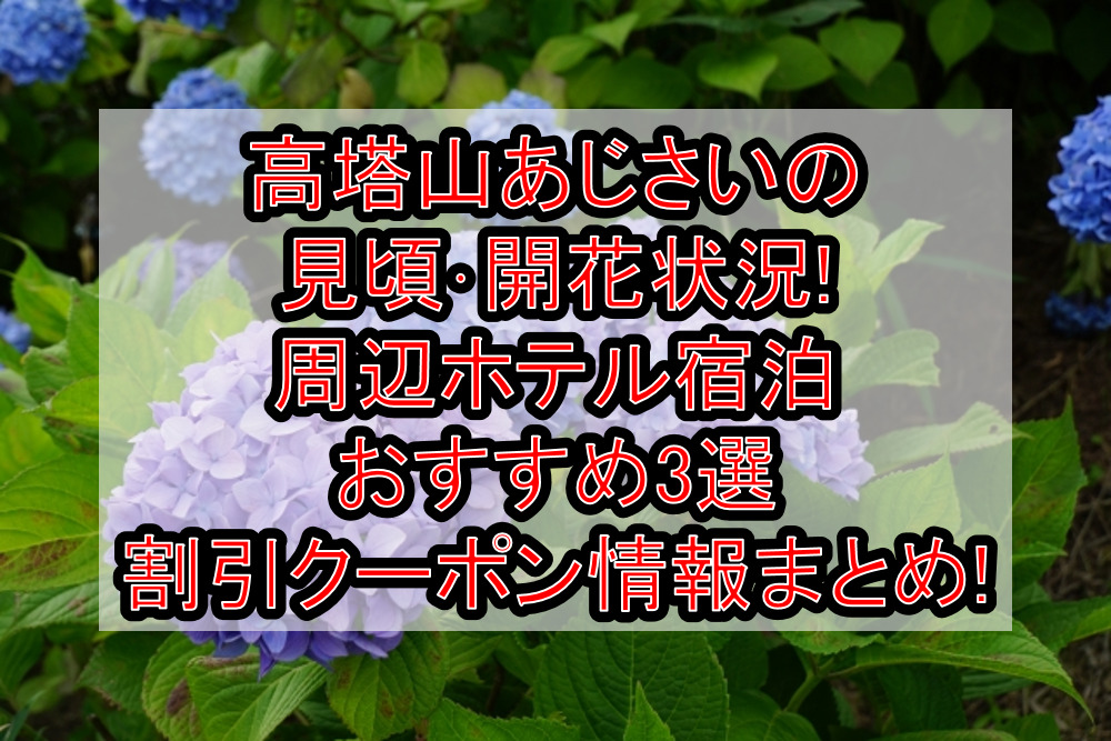 高塔山あじさいの見頃･開花状況!周辺ホテル宿泊おすすめ3選&割引クーポン情報まとめ!