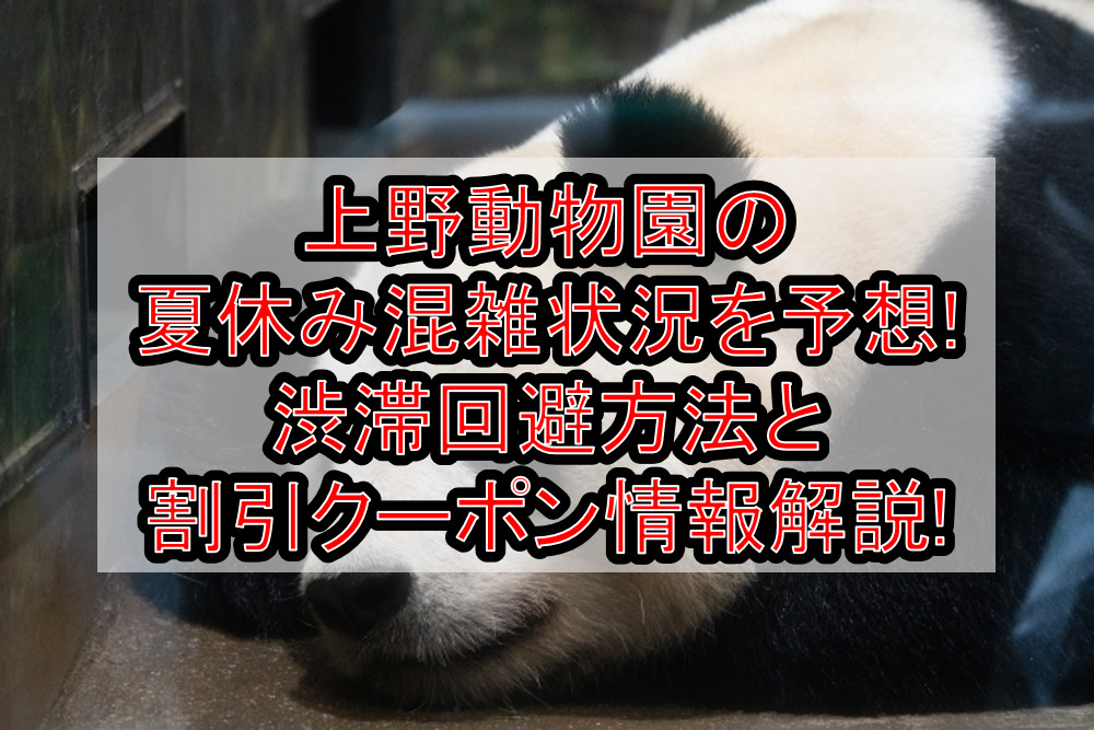 上野動物園の夏休み&お盆の混雑状況予想!渋滞回避方法と割引クーポン情報も解説!
