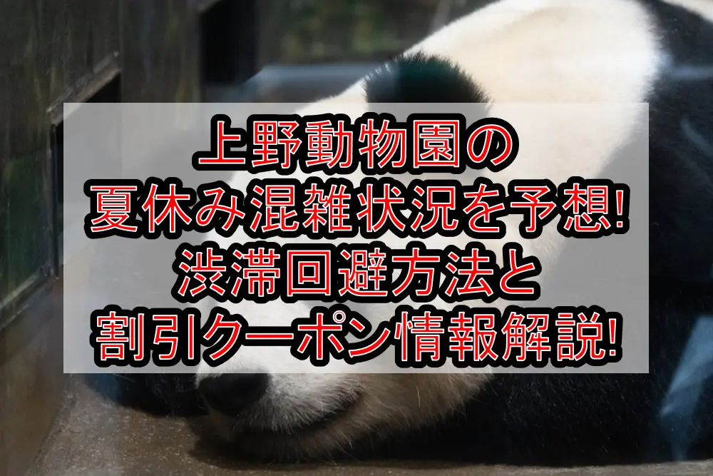 上野動物園の夏休み&お盆の混雑状況予想!渋滞回避方法と割引クーポン情報も解説!