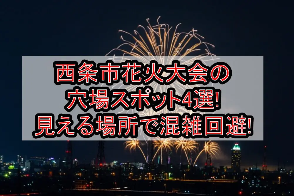 西条市花火大会2024の穴場スポット4選!見える場所で混雑回避!