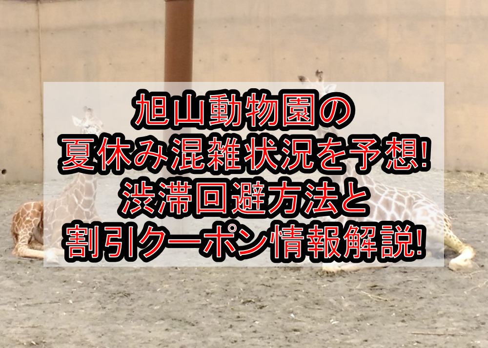 旭山動物園の夏休み&お盆混雑状況を予想!渋滞回避方法と割引クーポン情報も解説!