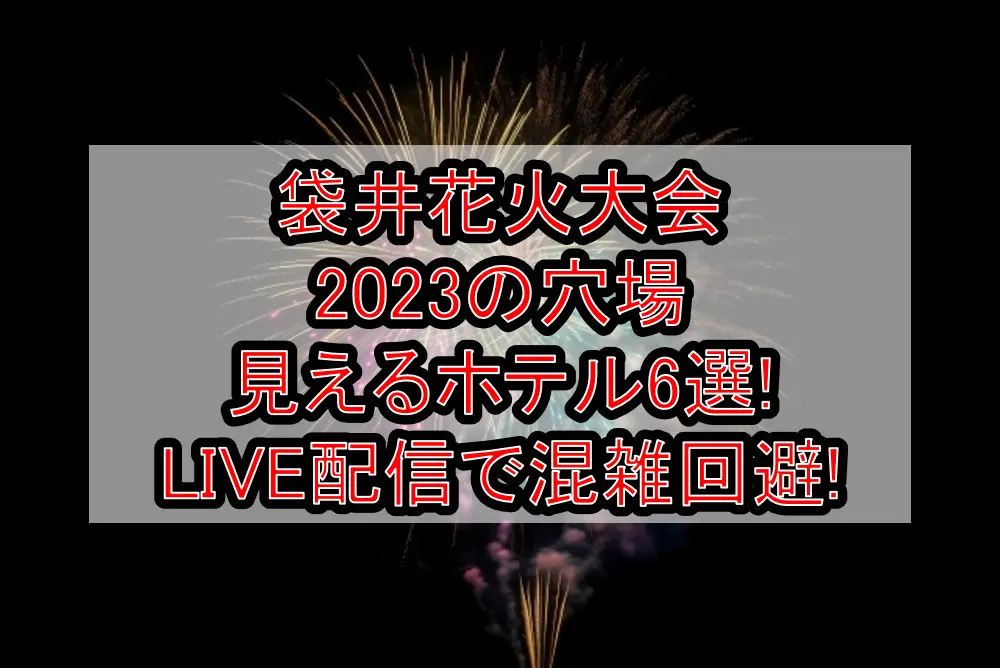 袋井花火大会2023の穴場･見えるホテル6選!LIVE配信で混雑回避!
